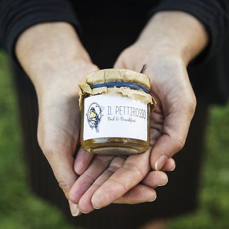 Il Pettirosso B&B グロッタフェッラータ エクステリア 写真