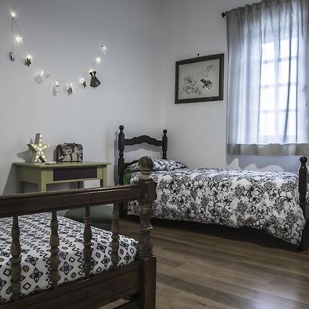Il Pettirosso B&B グロッタフェッラータ エクステリア 写真
