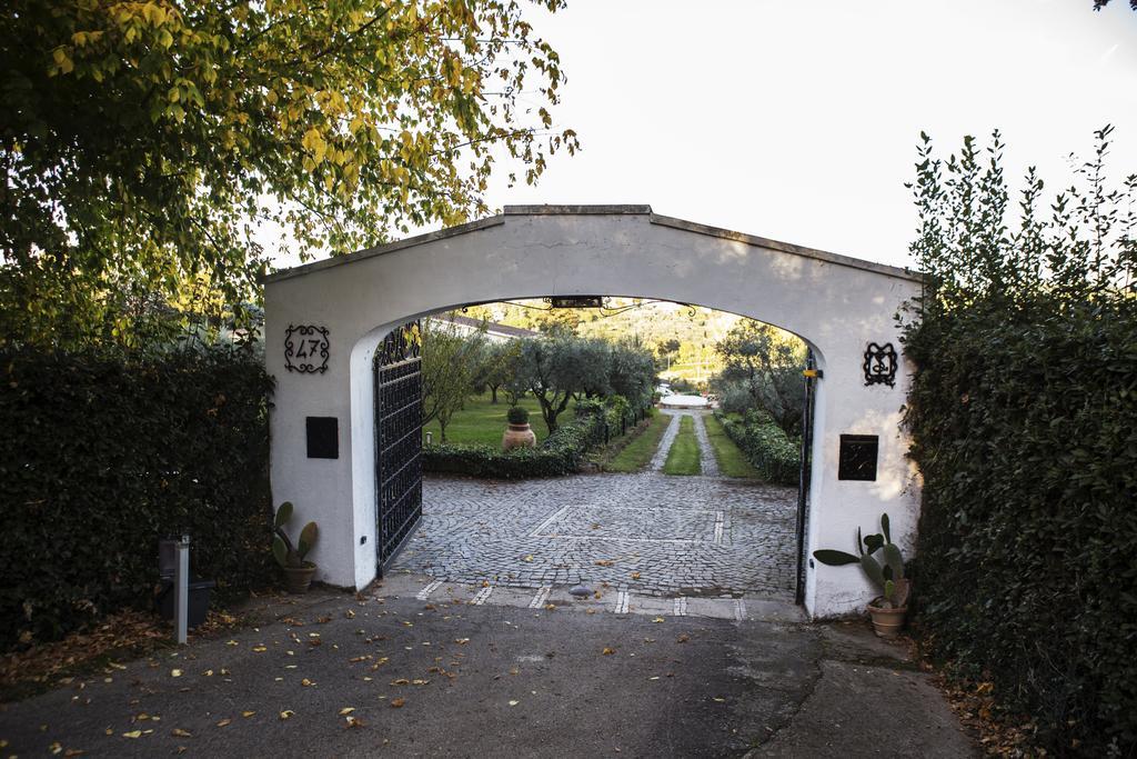 Il Pettirosso B&B グロッタフェッラータ エクステリア 写真