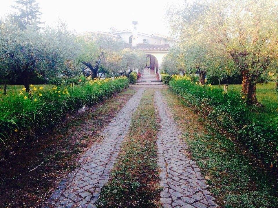 Il Pettirosso B&B グロッタフェッラータ エクステリア 写真