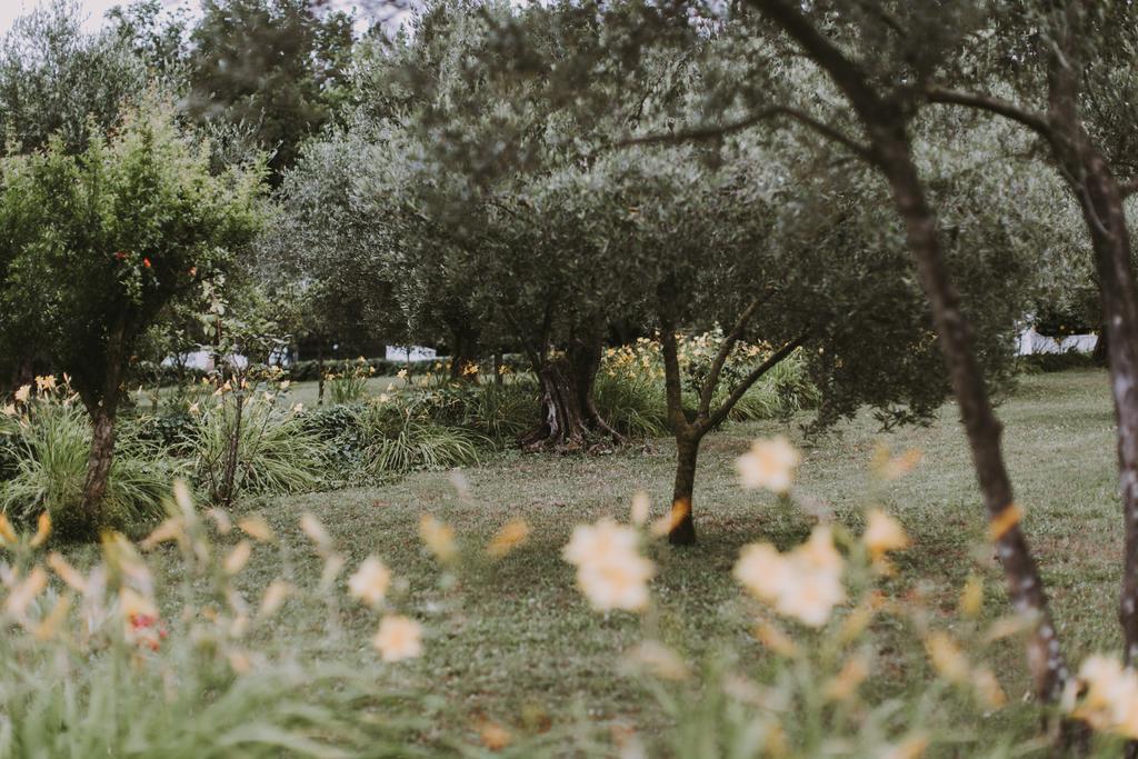 Il Pettirosso B&B グロッタフェッラータ エクステリア 写真