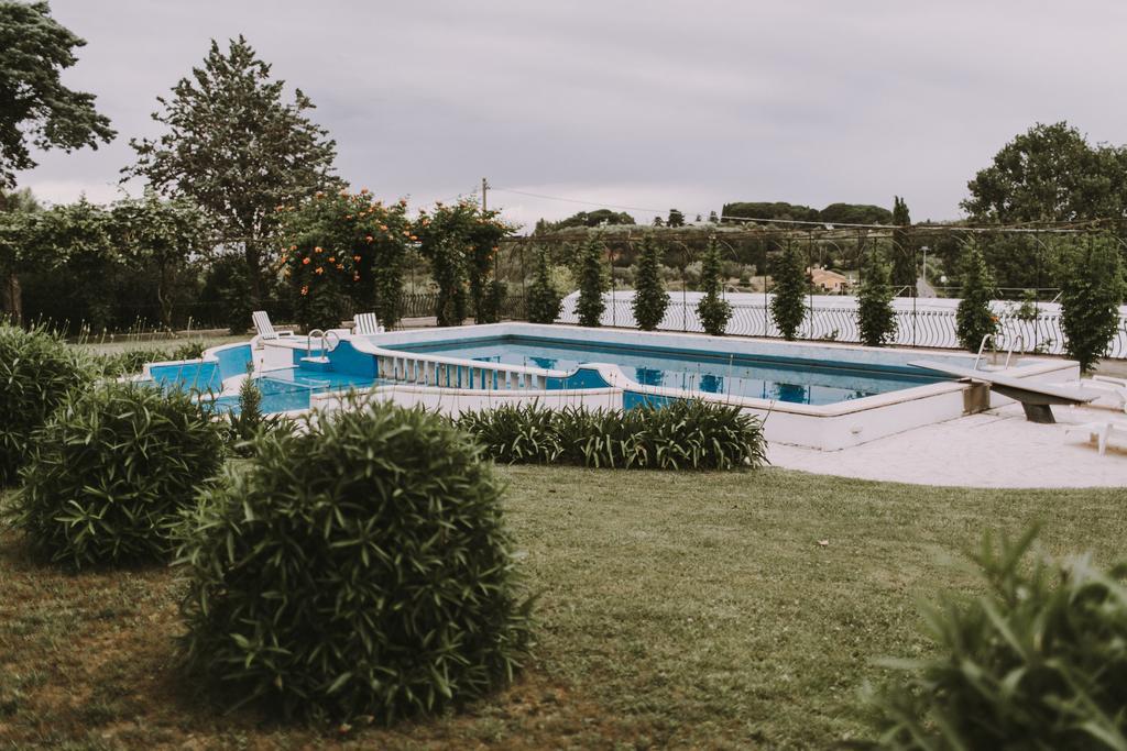Il Pettirosso B&B グロッタフェッラータ エクステリア 写真