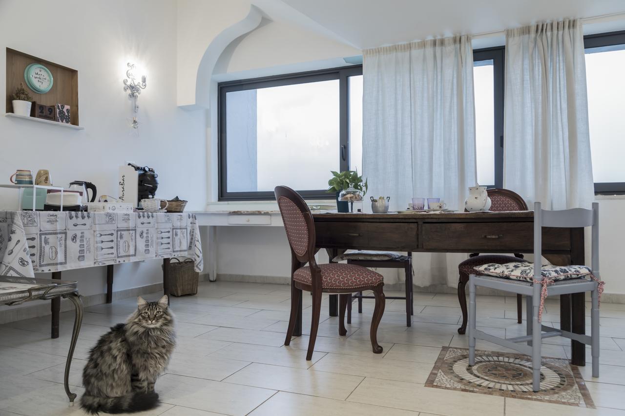 Il Pettirosso B&B グロッタフェッラータ エクステリア 写真