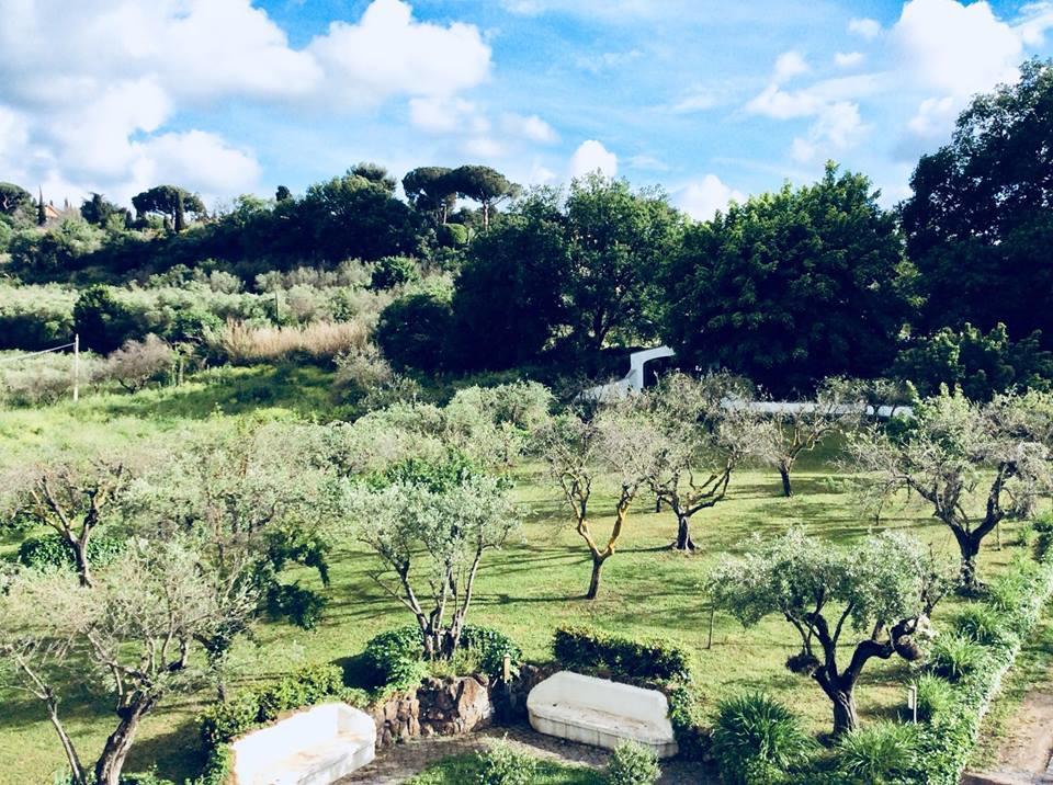 Il Pettirosso B&B グロッタフェッラータ エクステリア 写真