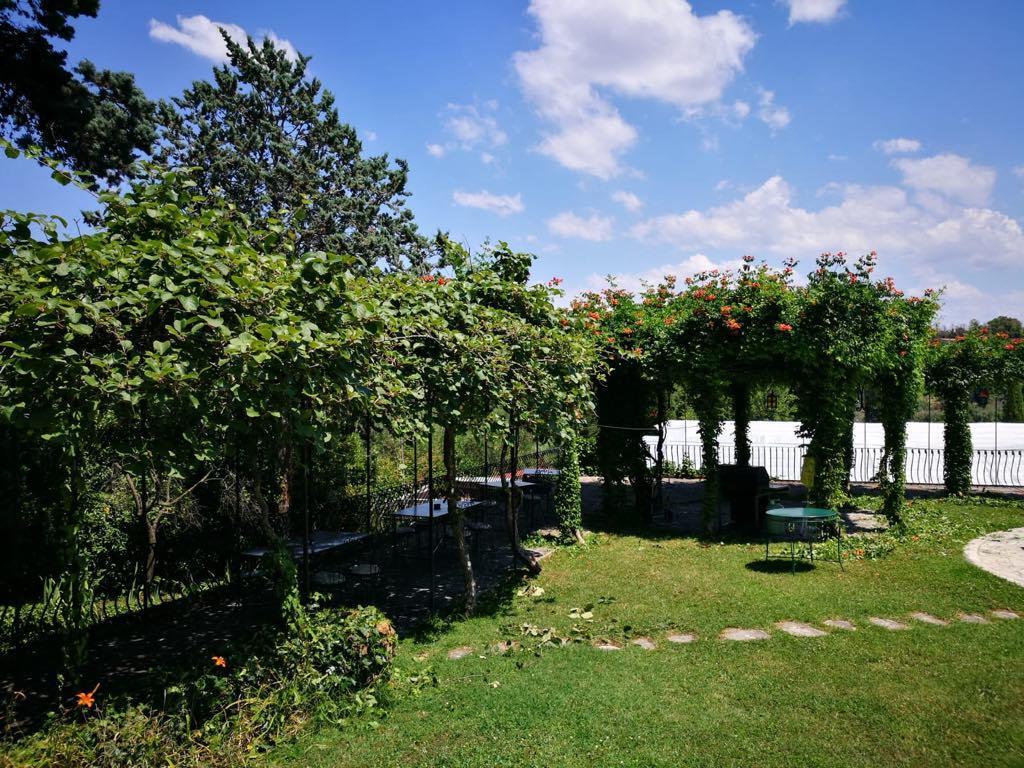 Il Pettirosso B&B グロッタフェッラータ エクステリア 写真